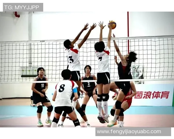 排球速度排名：上海排球队创新高