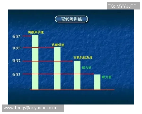 广州羽毛球队的战术解析与转换体系研究探讨