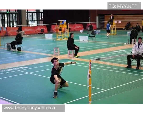 杭州羽毛球队在世界锦标赛中的精彩表现与状态分析 杭州羽毛球队在世界锦标赛中的精彩表现与状态分析