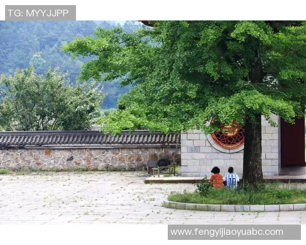 武汉网球队在联合会杯中的拼搏历程与荣耀时刻全景回顾 武汉网球队在联合会杯中的拼搏历程与荣耀时刻全景回顾