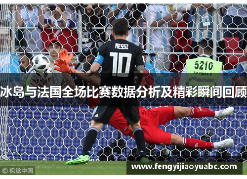 冰岛与法国全场比赛数据分析及精彩瞬间回顾